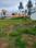 Sivaya Nagar Plot View 2