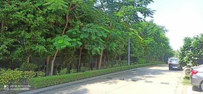 Image of 2520 Sq.ft Residential Plot / Land for sale in Slamatpur, Chandigarh for Rs. 33600000