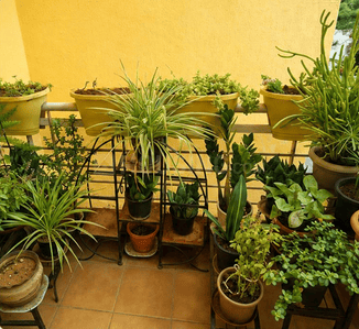 Image of 1764 Sq.ft 3 BHK Apartment / Flat for sale in Citilights Rustique by Citilights Properties Builders, Whitefield, Bengaluru for Rs. 26500000
