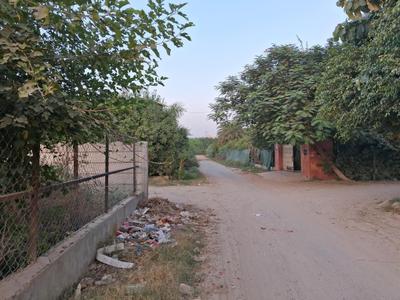 Image of 9072 Sq.ft Residential Plot / Land for sale in Dkrrish Green Beauty Farms, Nagli Bahrampur, Noida for Rs. 13500000
