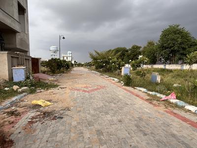 Block C Plot View 3