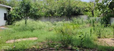 Image of 3767 Sq.ft 3 BHK Independent House for sale in Sigma 1, Greater Noida for Rs. 55000000