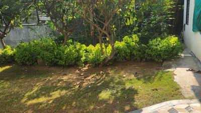 Image of 18000 Sq.ft 5 BHK Independent House for rent in Shree Balaji Heritage Villa, Adalaj, Gandhinagar for Rs. 500000