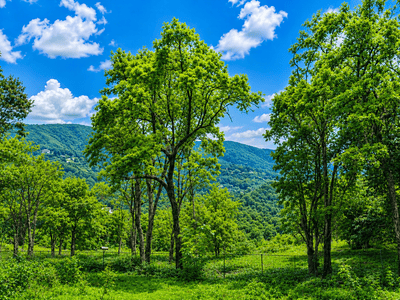 Image of 300 Sq.ft Residential Plot / Land for sale in Malsi, Dehradun for Rs. 18000000