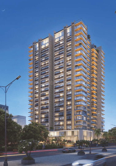 Shilaj Main Image 1