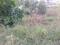 Satya Merano Greens Main Image 1