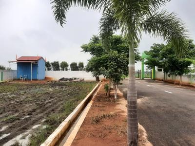 Image of 1650 Sq.ft Residential Plot / Land for sale in Vuyyuru, Vijayawada for Rs. 1939617
