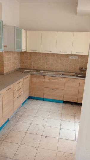 Tulip Petals Main Image 1