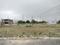 Badauli Village, Sector 80 Plot View 1