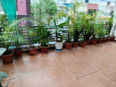 Balcony Image of 1300 Sq.ft 2 BHK Builder Floor for rent in Hoshangabad Road Bhopal for Rs. 24000