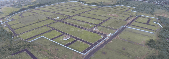 NuTech Fortune Main Image 1