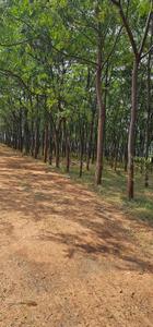 Image of 9000 Sq.ft Residential Plot / Land for sale in Kamsanpalle, Narayanpet for Rs. 7500000
