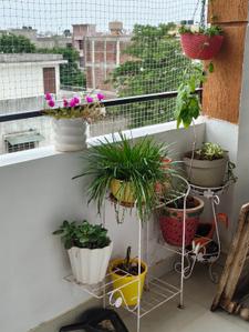 Balcony Image of 1300 Sq.ft 3 BHK Apartment / Flat for sale in Govindpura Kardhani Scheme Jaipur for Rs. 6000000