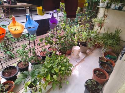 Balcony Image of 1000 Sq.ft 2 BHK Apartment / Flat for sale in Boisar Mumbai for Rs. 4000000