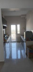 Kitchen Image of 1555 Sq.ft 3 BHK Apartment / Flat for sale in Paramount Golfforeste Premium Apartments, Surajpur Greater Noida for Rs. 10000000