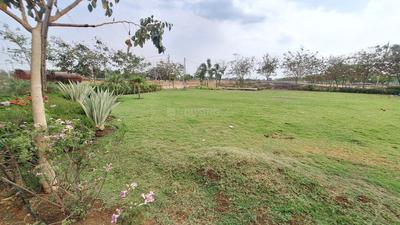 Image of 1200 Sq.ft Residential Plot / Land for sale in Raipura, Raipur for Rs. 1260000