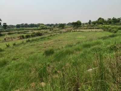 Image of 5300 Sq.ft Residential Plot / Land for sale in Similipada, Angul for Rs. 7000000