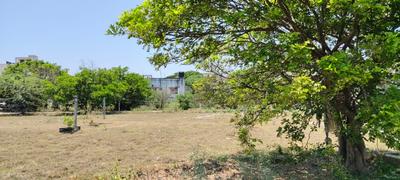 Image of 2465 Sq.ft Residential Plot / Land for sale in Adhanur, Chennai for Rs. 6162500