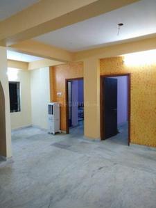 Hall Image of 900 Sq.ft 2 BHK Apartment / Flat for rent in Dum Dum Kolkata for Rs. 12000