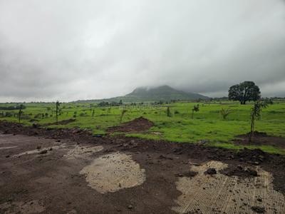 Image of 10000 Sq.ft Residential Plot / Land for sale in Trimbak, Nashik for Rs. 1810000