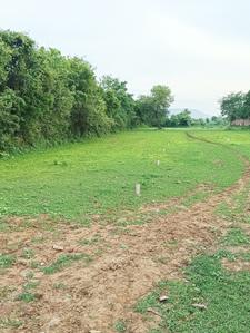 Image of 1000 Sq.ft Residential Plot / Land for sale in Dhawari, Satna for Rs. 750000
