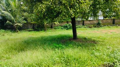 Image of 5662 Sq.ft Residential Plot / Land for sale in Angamaly, Kochi for Rs. 5200000