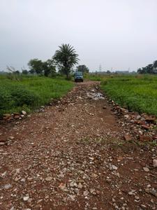 Nest Valley Internal Roads 1
