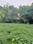 Haldwani Plot View 2