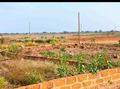 Image of 1300 Sq.ft Residential Plot / Land for sale in Hanspal, Bhubaneswar for Rs. 3120000