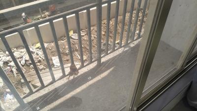 Image of 680 Sq.ft 1 BHK Apartment / Flat for sale in Parwati Colossal, Kalyan East, Kalyan for Rs. 3880000