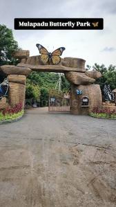 Image of 155 Sq.ft Residential Plot / Land for sale in Mulapadu, Vijayawada for Rs. 2790000