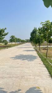 Image of 900 Sq.ft Residential Plot / Land for sale in Govardhan, Mathura for Rs. 1600000