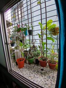 Balcony Image of 960 Sq.ft 2 BHK Apartment / Flat for sale in Kahilipara Guwahati for Rs. 4500000