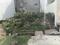 Divya Homes Main Image 1
