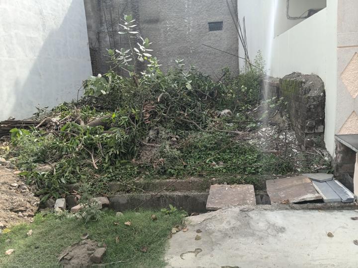 Divya Homes Main Image 1