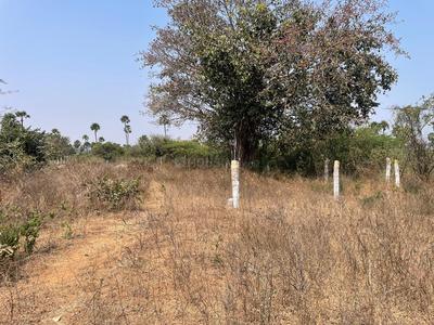 Residential Plot