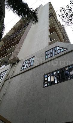 Chandak Stella Main Image 1