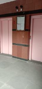 Kitchen Image of Platinum PG  in Sector 9, Noida