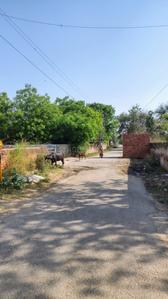 Image of 162 Sq.ft Residential Plot / Land for sale in Lohamandi, Agra for Rs. 7000000