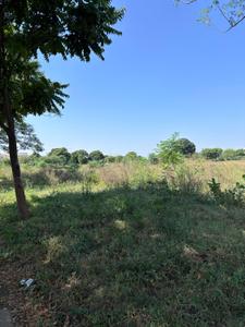 Image of 4950 Sq.ft Residential Plot / Land for sale in Unitech Uniworld City, Sector 97, Mohali for Rs. 56000000