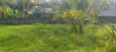 mallu broker Plot View 3