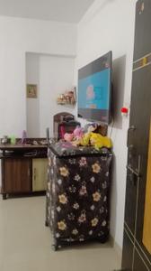 Living Room Image of 385 Sq.ft 1 RK Apartment / Flat for sale in Shilphata Thane for Rs. 2600000