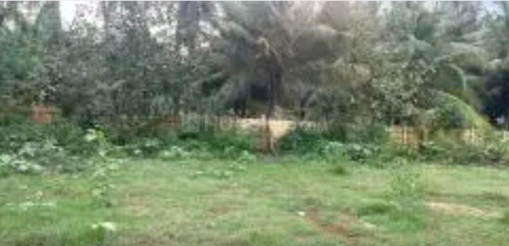 Naickenpalayam Main Image 1