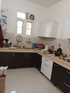 Kitchen Image of 1050 Sq.ft 2 BHK Apartment / Flat for rent in Sector 115 Mohali for Rs. 22000