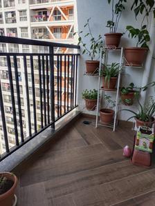 Balcony Image of 1053 Sq.ft 2 BHK Apartment / Flat for sale in Tayal K Town Kiwale, Vikas Nagar Pune for Rs. 8700000