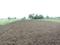 Sarde Plot View 2