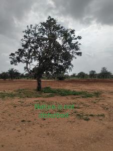Image of 1000 Sq.ft Residential Plot / Land for sale in Keesara, Secunderabad for Rs. 786500