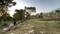 Dharamsala Plot View 2