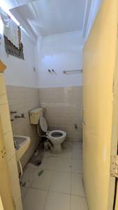 Bathroom Image of 860 Sq.ft 2 BHK Apartment / Flat for rent in Ameerpet Hyderabad for Rs. 25000