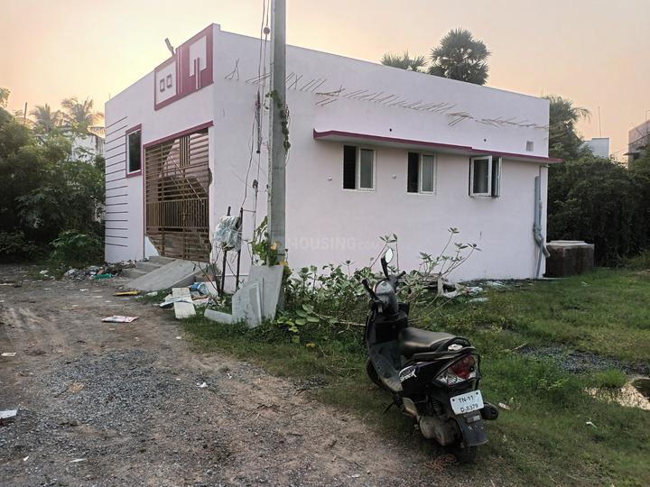 Augustin  More Images 1